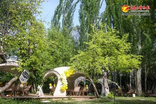 ” 打造文旅新场景 激发消费新活力凯发天生赢家文化中国行丨“露营+(图3)