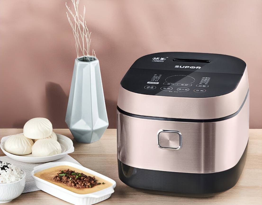 什么？10款热门机型盘点小白必看凯发首页登录电饭锅品牌前十名有(图3)