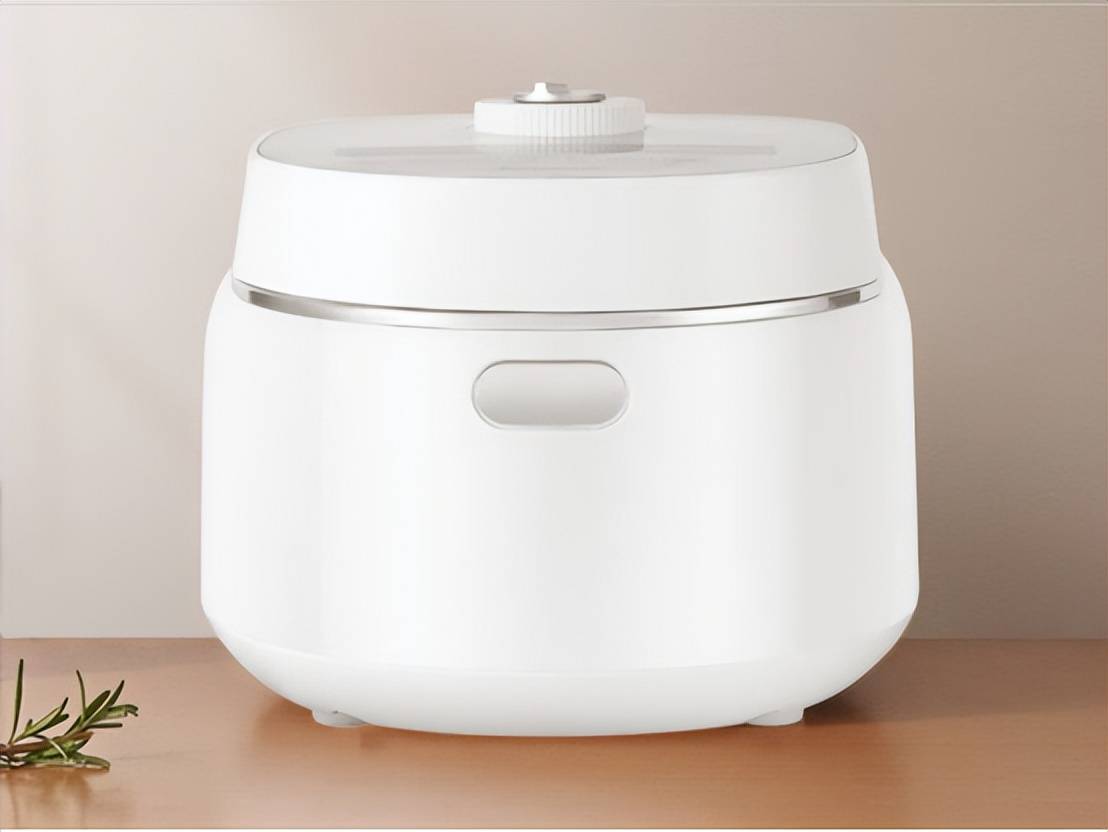 什么？10款热门机型盘点小白必看凯发首页登录电饭锅品牌前十名有(图9)