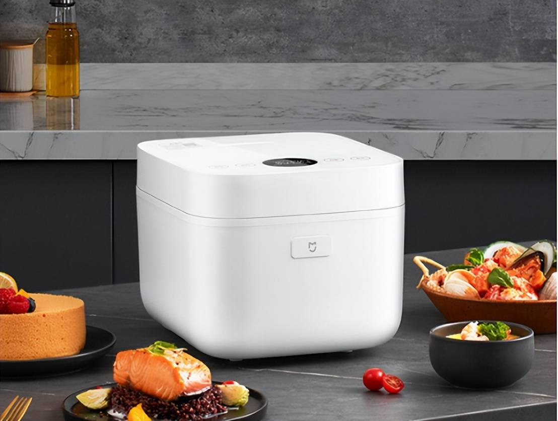 什么？10款热门机型盘点小白必看凯发首页登录电饭锅品牌前十名有(图13)